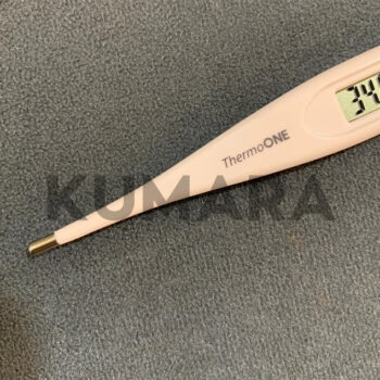 ginee 20251211163251082 5737988429