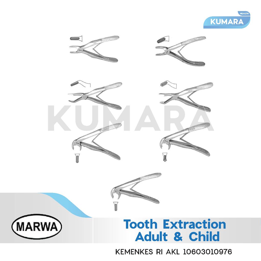 MARWA - Extraction Forceps Adult & Child / Tang Cabut Gigi Anak & Dewasa 1 MARWA - Extraction Forceps Adult & Child / Tang Cabut Gigi Anak & Dewasa
