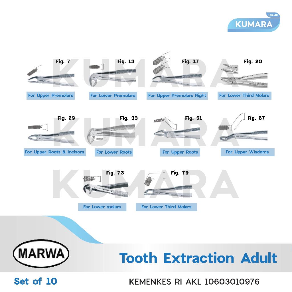 MARWA - Extraction Forceps Adult & Child / Tang Cabut Gigi Anak & Dewasa 2 MARWA - Extraction Forceps Adult & Child / Tang Cabut Gigi Anak & Dewasa - Image 2