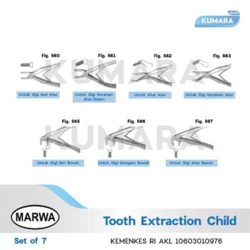 ginee 20251219110104010 3512765069