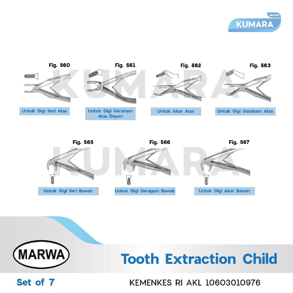 MARWA - Extraction Forceps Adult & Child / Tang Cabut Gigi Anak & Dewasa 3 MARWA - Extraction Forceps Adult & Child / Tang Cabut Gigi Anak & Dewasa - Image 3