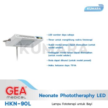 ginee 20251231145819765 1568778249