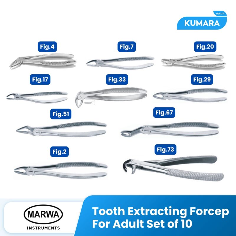 MARWA - Tooth Extracting Forcep For Adult Set of 10 / Tang Cabut Gigi Dewasa 10 Set 1 19 2