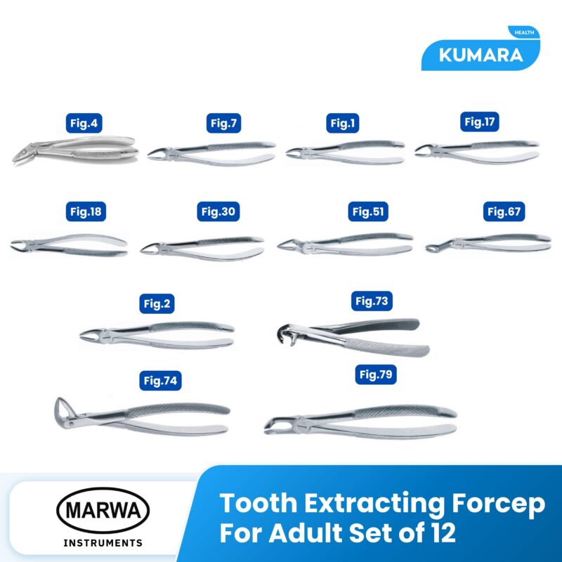 MARWA - Tooth Extracting Forcep For Adult Set of 12 / Tang Cabut Gigi Dewasa 12 Set 1 20 2
