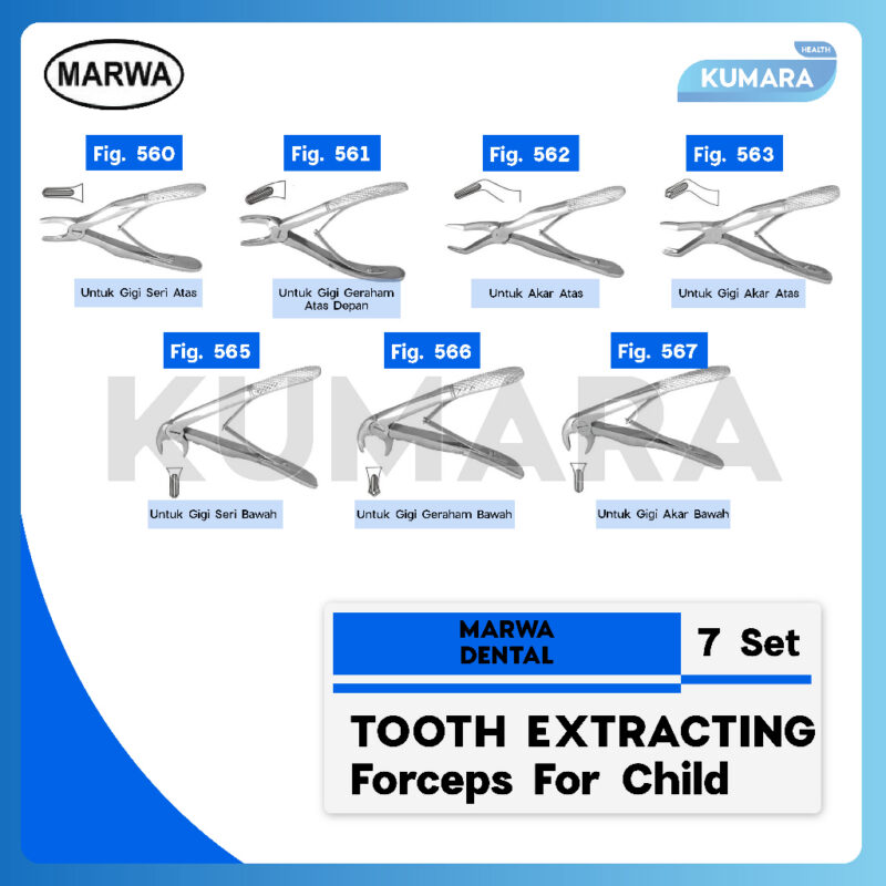 MARWA - Tooth Extracting Forcep For Child Set of 7 / Tang Cabut Gigi Anak 7 Set 1 ginee 20260102145130226 7691642851
