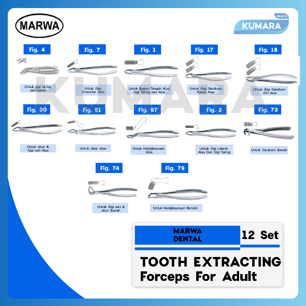 MARWA - Tooth Extracting Forcep For Adult Set of 12 / Tang Cabut Gigi Dewasa 12 Set 1 MARWA - Tooth Extracting Forcep For Adult Set of 12 / Tang Cabut Gigi Dewasa 12 Set