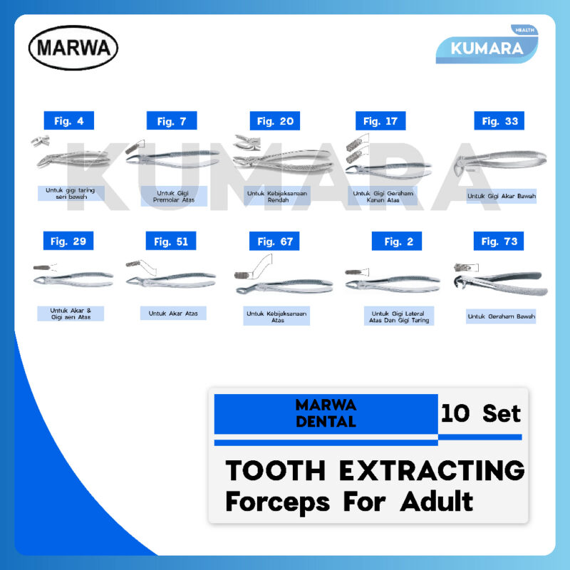 ginee 20260102151439296 0268841471