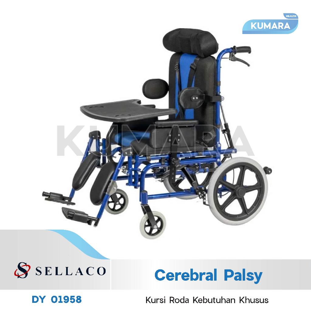 SELLA - Kursi Roda Cerebral Palsy DY 01958 CP / Kursi Roda Berkebutuhan Khusus 1 SELLA - Kursi Roda Cerebral Palsy DY 01958 CP / Kursi Roda Berkebutuhan Khusus