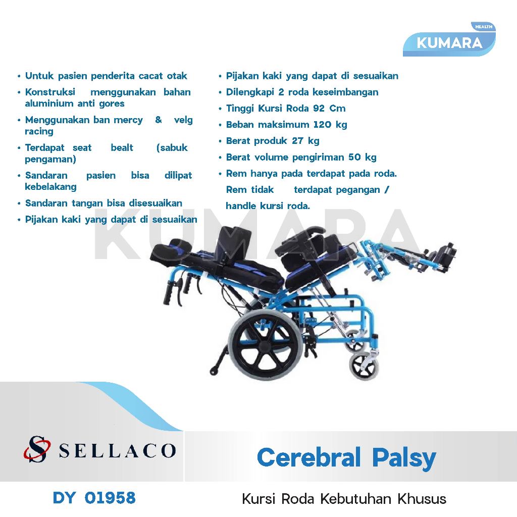SELLA - Kursi Roda Cerebral Palsy DY 01958 CP / Kursi Roda Berkebutuhan Khusus 2 SELLA - Kursi Roda Cerebral Palsy DY 01958 CP / Kursi Roda Berkebutuhan Khusus - Image 2