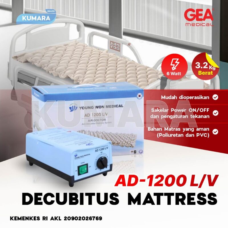 ginee 20260106104737577 6713860052