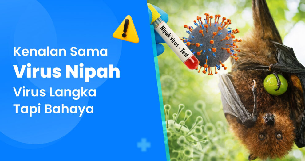 ARTIKEL VIRUS NIPAH.jpg