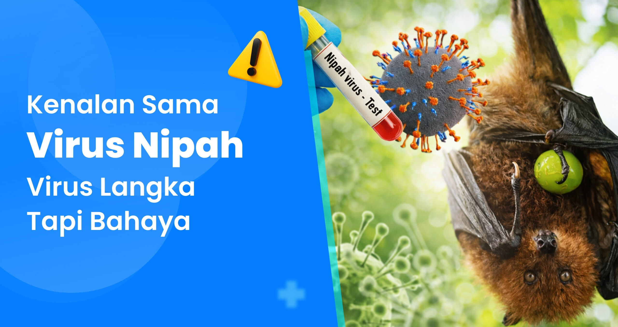 ARTIKEL VIRUS NIPAH.jpg scaled