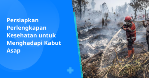 ARTIKEL WEB 24