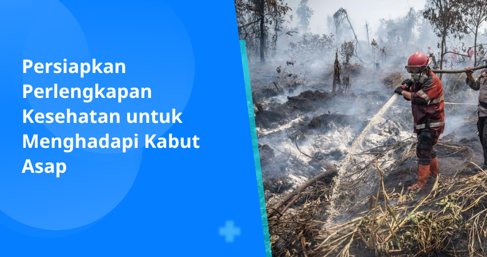 ARTIKEL WEB 24